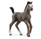 schleich® Horse Club 13957 Cheval de Selle Francais Fohlen