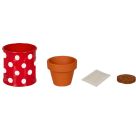 Kleines Pflanzset Weiße Margerite - Fröhliche Tupfen