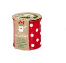 Kleines Pflanzset Weiße Margerite - Fröhliche Tupfen