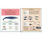 Die geheime Welt der Wale - Ein Sachbilderbuch