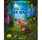 Wie schläft der Wald? Nachhaltig hergestelltes Öko-Pappbilderbuch für die Kleinsten
