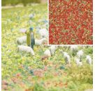 Blüten Sommerblumen