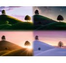 Ravensburger 17443 Puzzle Stimmungsvolle Bäume und Berge 2000 Teile