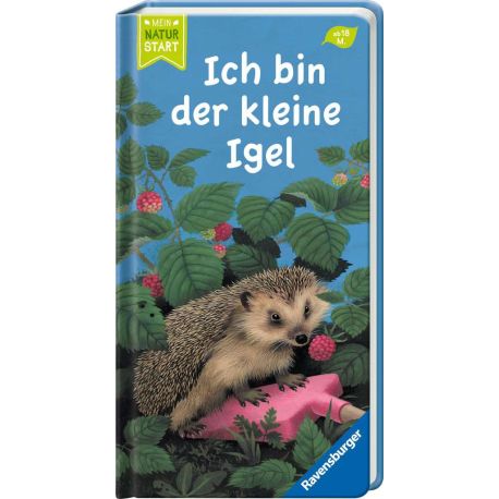 Ich bin der kleine Igel
