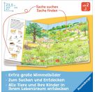 Mein großes Sachen suchen: Alle Tiere der Welt