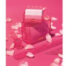 Geometrie-Dreieck 16cm Griff tulip