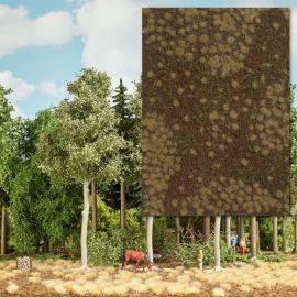 BUSCH Trockener Waldboden