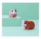 Evi Love Guinea Pigs