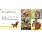 Hör mal rein, wer kann das sein? – Tiere im Herbst