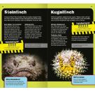 Die 100 tödlichsten Dinge der Welt