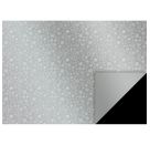 Karton 50x70cm 300g Kristall silber