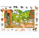 Bilder suchen-Wörter finden: So viele Tiere