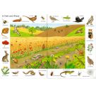 Bilder suchen-Wörter finden: So viele Tiere