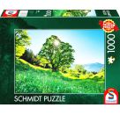 Puzzle Berg-Ahorn im Sonnenlicht, STeile Gallen, Schweiz 1000Teile