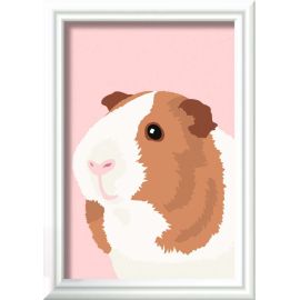 Ravensburger Malen nach Zahlen 23758 - Niedliches Meerschweinchen - Kinder ab 7 Jahren