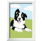 Ravensburger CreArt 23759 - Border Collie Welpe - Malen nach Zahlen Hund für Kinder ab 7 Jahre