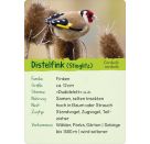 Naturforscher-Kids – Vögel