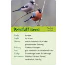 Naturforscher-Kids – Vögel