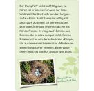 Naturforscher-Kids – Vögel
