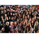 Erwachsenenpuzzle 1000 Teile - Challenge Harry Potter