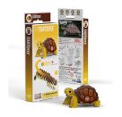 3D Bastelset Landschildkröte (MQ6)