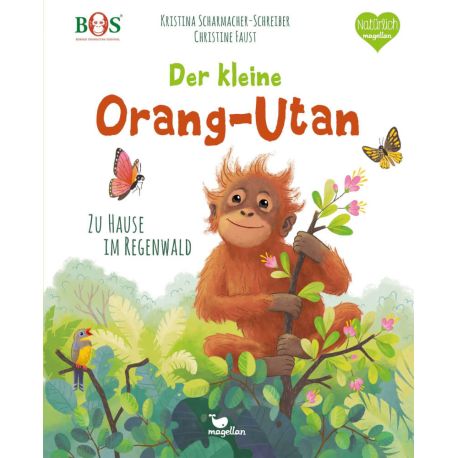 Der kleine Orang-Utan - Zu Hause im Regenwald