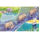 Der kleine Waldelefant - Zu Hause in Afrika