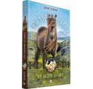 Die Pferde aus Galdur - Der goldene Gefährte