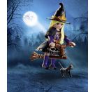 PLAYMOBIL 71584 Hexe mit Katze