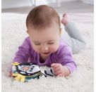Fisher-Price 2-in-1 Wippender Otter zum spielen in der Bauchlage