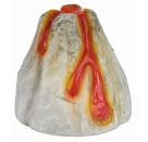 Expedition Natur Ausgrabungs-Set Vulkangestein