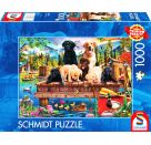 PU1000T.Hundefamilie am See