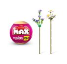 MAX - Flowers, sortiert