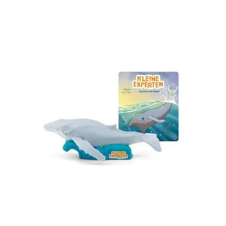 KLE!NE EXPERTEN tauchen mit Walen [DACH]