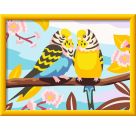 Ravensburger CreArt - Malen nach Zahlen 23994 - Bunte Wellensittiche - ab 9 Jahren