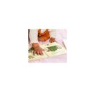 Liebling: Kl. Kaninchen, erzähl mir von dir (J. Tourlonias)