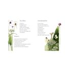 Augenweide: Hallo Leben, du bist so schön! - M. Bastin