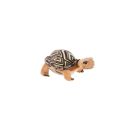 Schule der magischen Tiere Schildkröte groß Henrietta klein