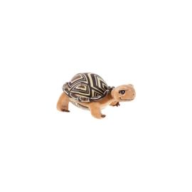 Schule der magischen Tiere Schildkröte groß Henrietta klein
