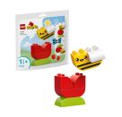 LEGO® DUPLO 30686 Meine erste Blume mit Biene