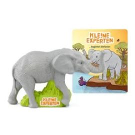 KLE!NE EXPERTEN - ... begleiten Elefanten