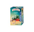 Die Schule der magischen Tiere - Caspar mit magischen UV-Perlen