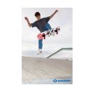 Schildkröt Skateboard Grinder 31 Wolf