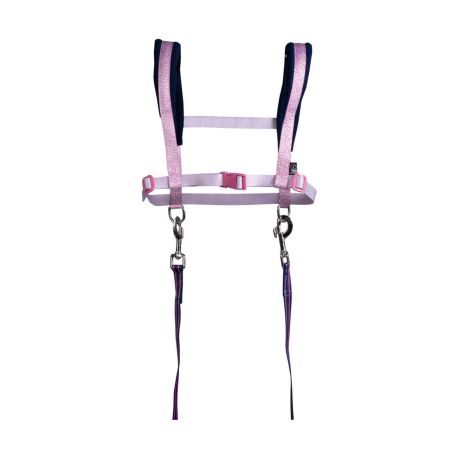 Pferdegeschirr -Funny Horses Hearts-  rosa/dunkelblau