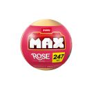 MAX-ROSE COLLECTION