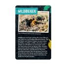 50 Garten-Projekte - Nature Zoom (Blechdose)