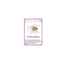 Expedition Natur Quartett Minimonster