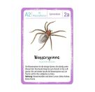 Expedition Natur Quartett Minimonster
