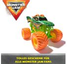 Monster Jam Monster Jam Die Cast 1:24 Dragon