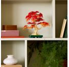 LEGO® Botanicals 10348 Japanischer Roter Ahorn – Bonsai-Baum